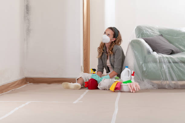 Reliable Black Mold Removal contractor in Park Ridge, NJ by WQB Mold Removal